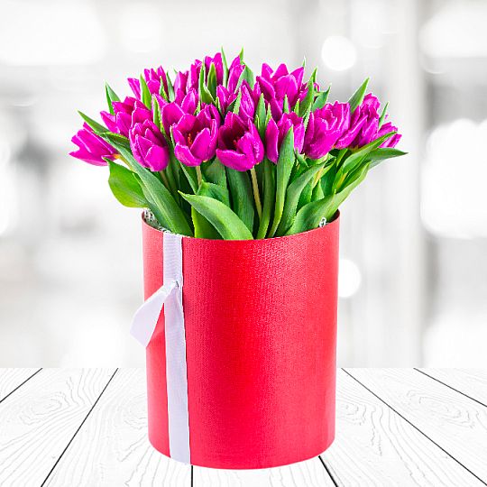 Flowerbox 25 Fioletowych Tulipanów