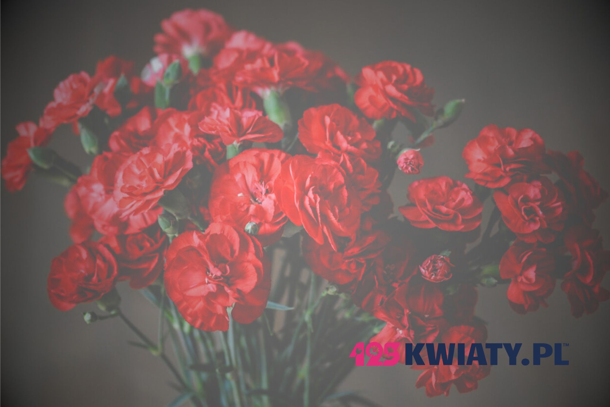 Jak wysłać kwiaty do innego miasta? Skorzystaj z poczty – kwiatowej dostawy!