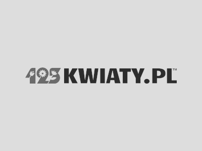 Znaczenie najpopularniejszych kwiatów