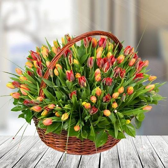 Kosz 100 tulipanów