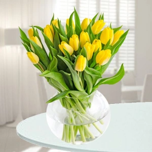 Yellow tulips