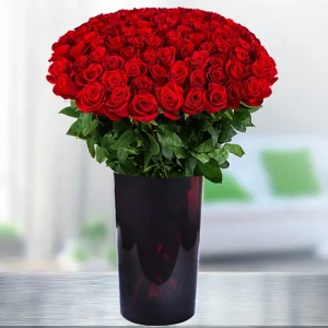 100 Czerwonych Róż