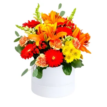 Flowerbox Ekscytujący