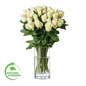 Bouquet of 20 white roses