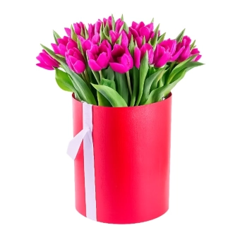 Flowerbox 25 fioletowych tulipanów