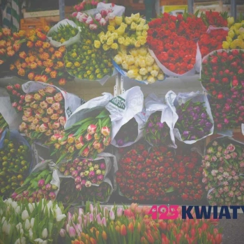 Jak długo wytrzymują kwiaty po dostawie pocztą?