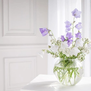 Jakimi letnimi kwiatami ozdobić mieszkanie?