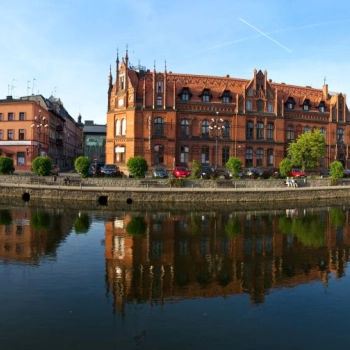 Świeży bukiet kwiatów z dostawą w Bydgoszczy? Przekonaj się, jakie to proste!