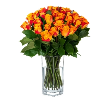 30 Herbacianych Róż