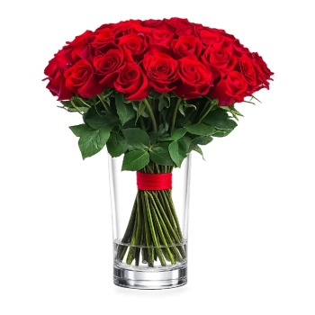 40 Czerwonych Róż