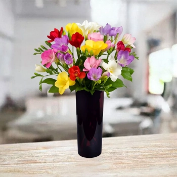 15 Kolorowych Frezji