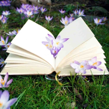 Ciekawostki o kwiatach