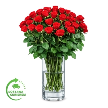 Bukiet 50 czerwonych róż