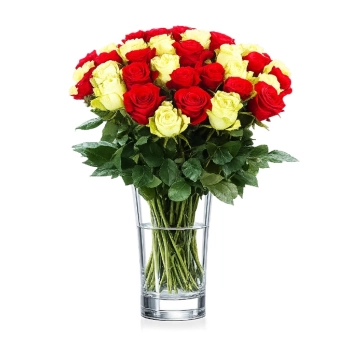 35 Białych i Czerwonych Róż