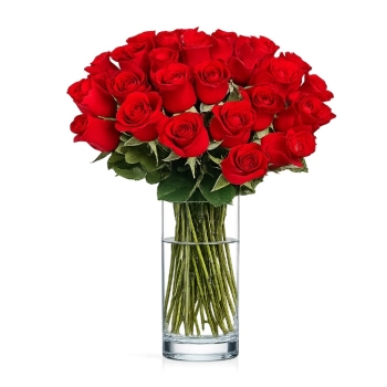 30 Czerwonych Róż