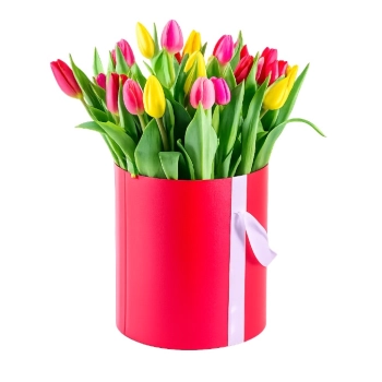 Flowerbox 25 kolorowych tulipanów