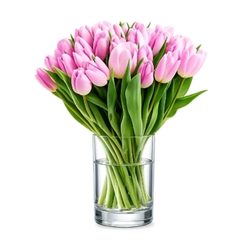 30 różowych tulipanów