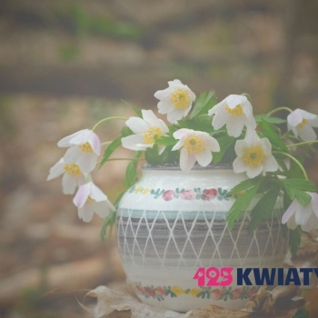 Soda oczyszczona do podlewania kwiatów – czy to dobry pomysł?