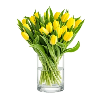 Yellow tulips