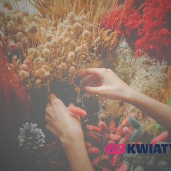 Dostawa kwiatów pocztą do szpitali, hoteli, biur – czy to możliwe?