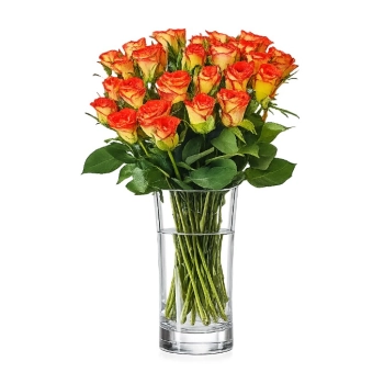 25 Herbacianych Róż