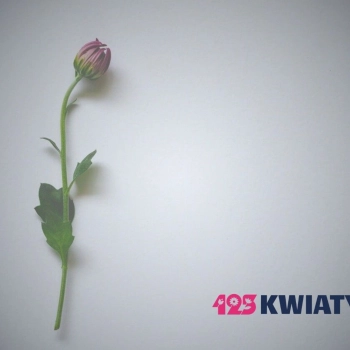 Teraz obsługujemy jeszcze więcej miejscowości!