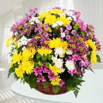 Kosz Kolorowych Margaretek