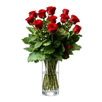 12 Czerwonych Róż
