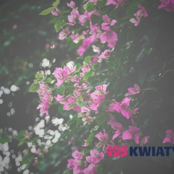 Jak zrobić wiązankę ze sztucznych kwiatów?