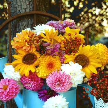 Sezonowe kwiaty cięte – bukiety na jesień