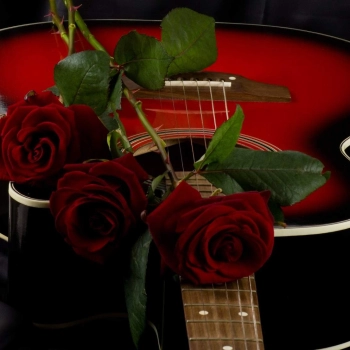 Kwiaty w muzyce rockowej