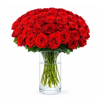 50 Czerwonych Róż