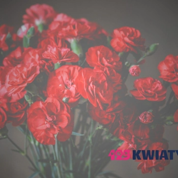 Jak wysłać kwiaty do innego miasta? Skorzystaj z poczty – kwiatowej dostawy!