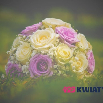 Ranking kwiaciarni w Rybniku 2025 – online i stacjonarnie