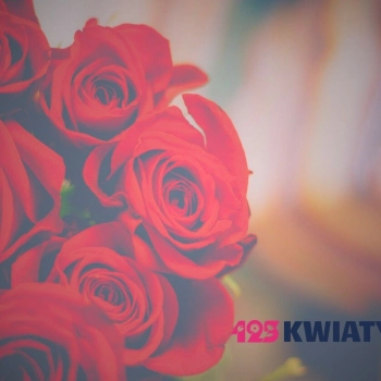 Współpracujemy z Flori-Studio