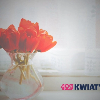 Jak dobrać kwiaty do wystroju wnętrza?