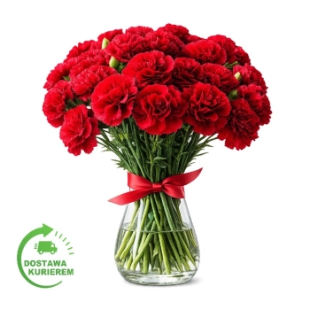 Bukiet 25 czerwonych goździków