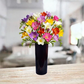 21 Kolorowych Frezji