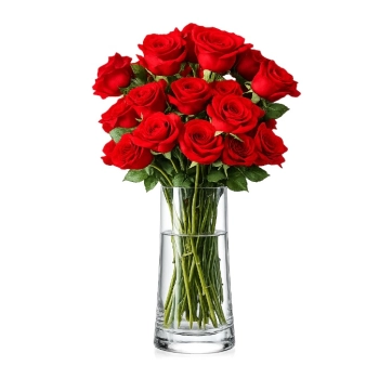 18 Czerwonych Róż