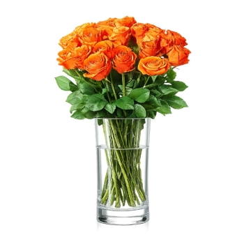 23 Herbaciane Róże