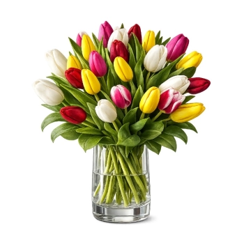 30 kolorowych tulipanów