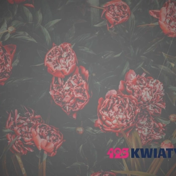 Zestawy kwiatów – słodkości, pluszaki, owoce