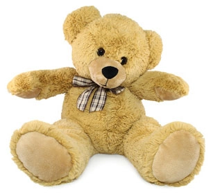 Duży pluszowy miś (30-40cm)