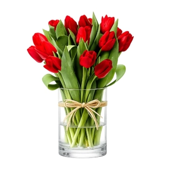 Red tulips