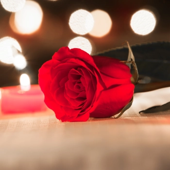 Kwiaty na Walentynki – poznaj mowę kwiatów!