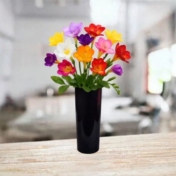 11 Kolorowych Frezji