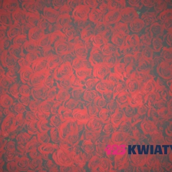 Ile kosztuje bukiet róż? Aktualny cennik kwiaciarni [czerwiec 2025]