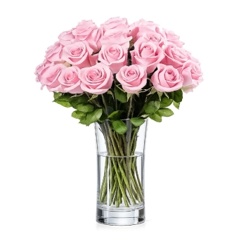 25 Różowych Róż