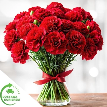 Bukiet 25 czerwonych goździków