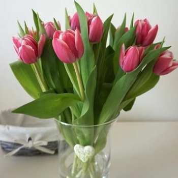 Co zrobić, aby kwiaty w wazonie dłużej żyły?